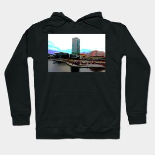 Darling Harbour! Hoodie